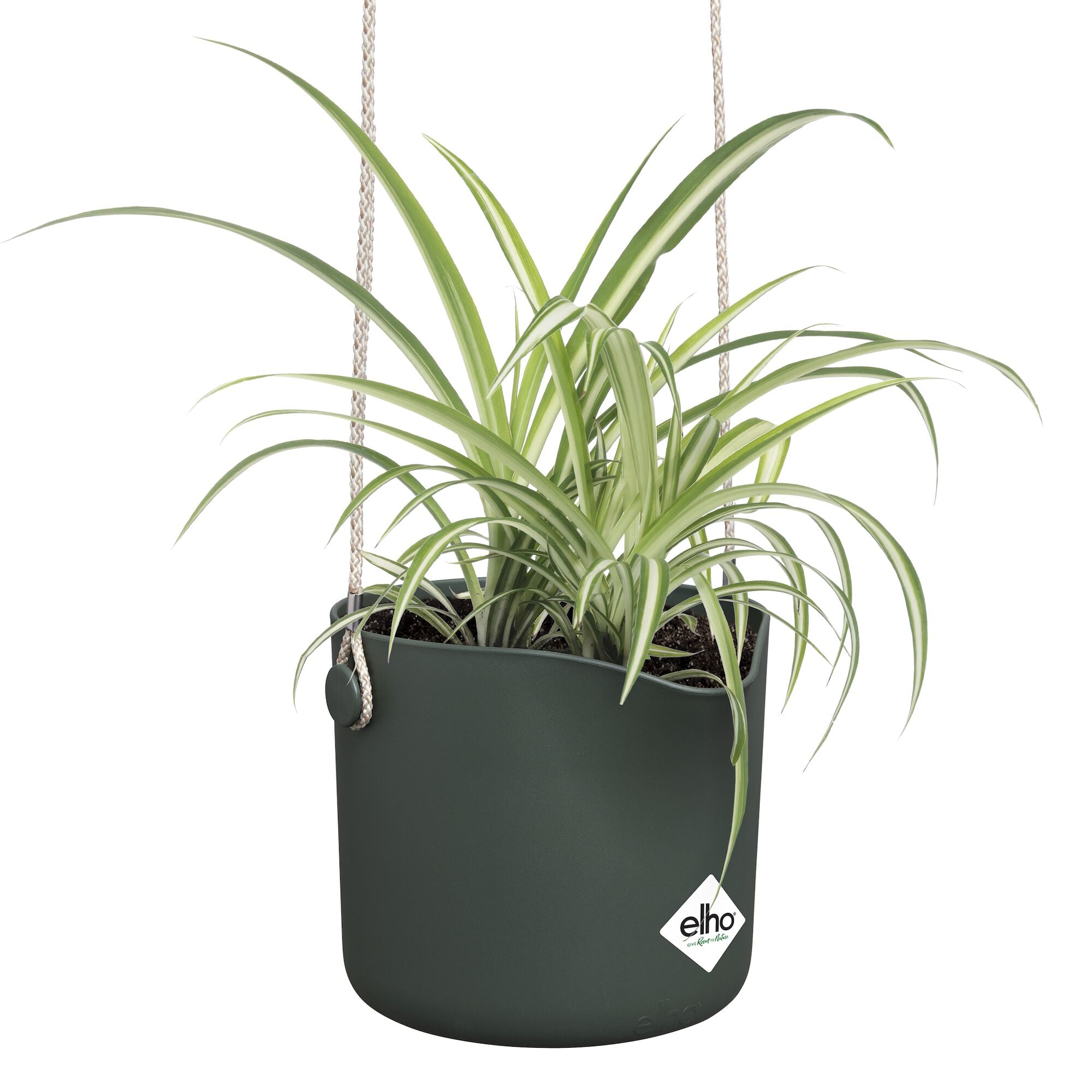 Elho B for Swing pot suspendu vert plastique Ø18cm