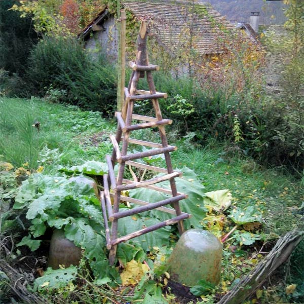 Ets Leneindre Décorations Pyramide châtaignier plante grimpante