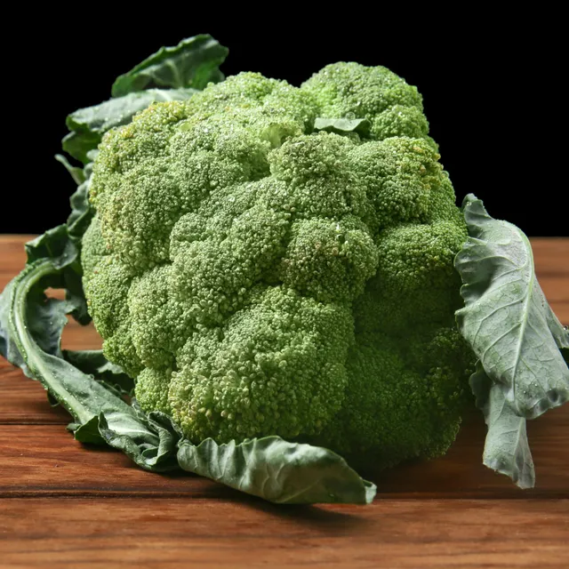 Bakker Potager Brocoli Calabrese Natalino Bio sachet 1,5g tendre