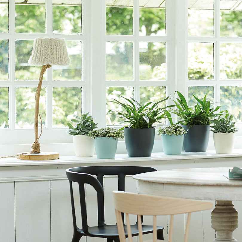 Elho Pot Brussels rond blanc cache-pot Ø12,5cm