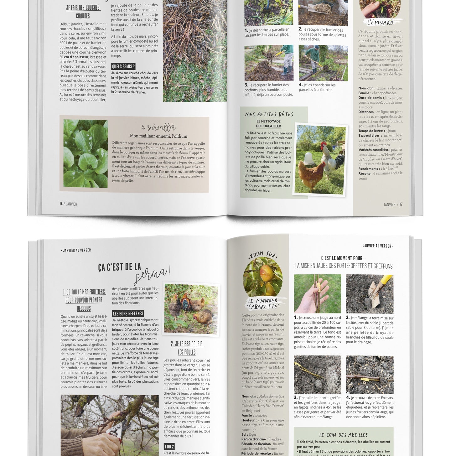 Zeprofdortie Leçons de permaculture livre jardin La pièce