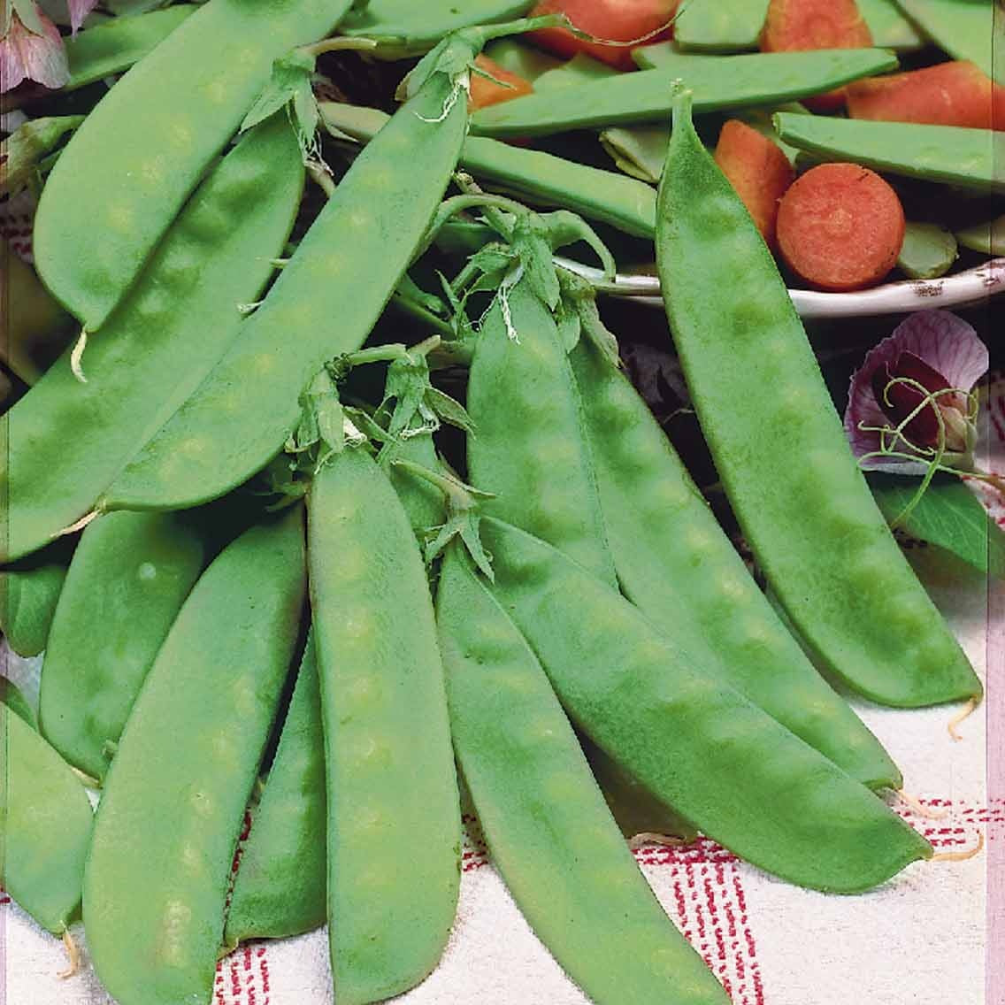Bakker Pois rames mangetout Corne de Bélier sachet 200g