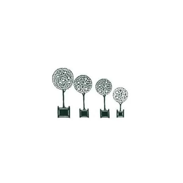 Ets Leneindre Orangers silhouette arbre extérieur vert
