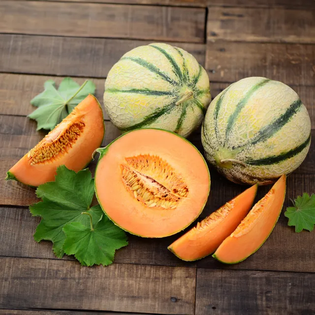 Bakker Melon Cantaloup charentais graines sachet 3g sucré
