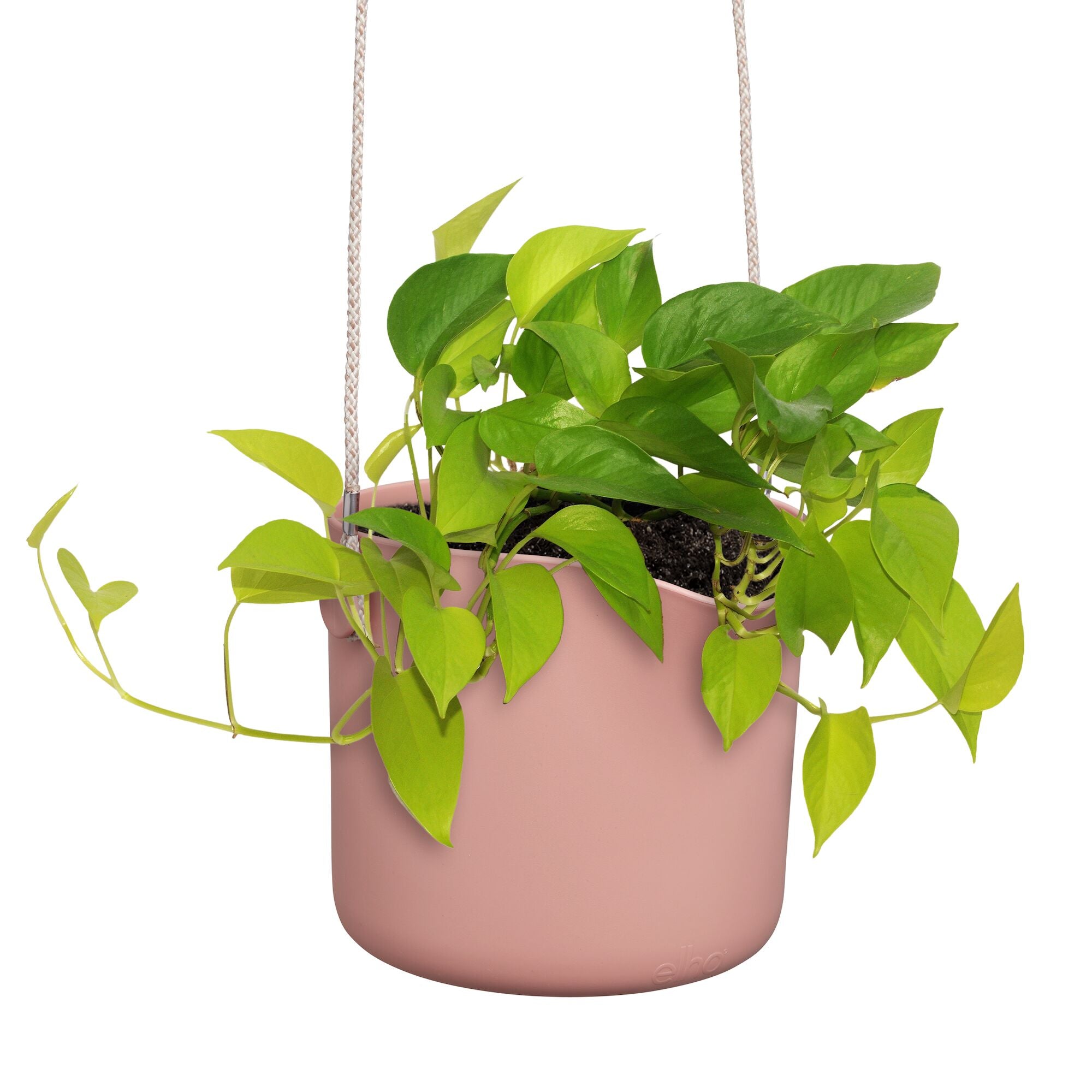 Elho B for Swing pot suspendu rose Ø 18 cm