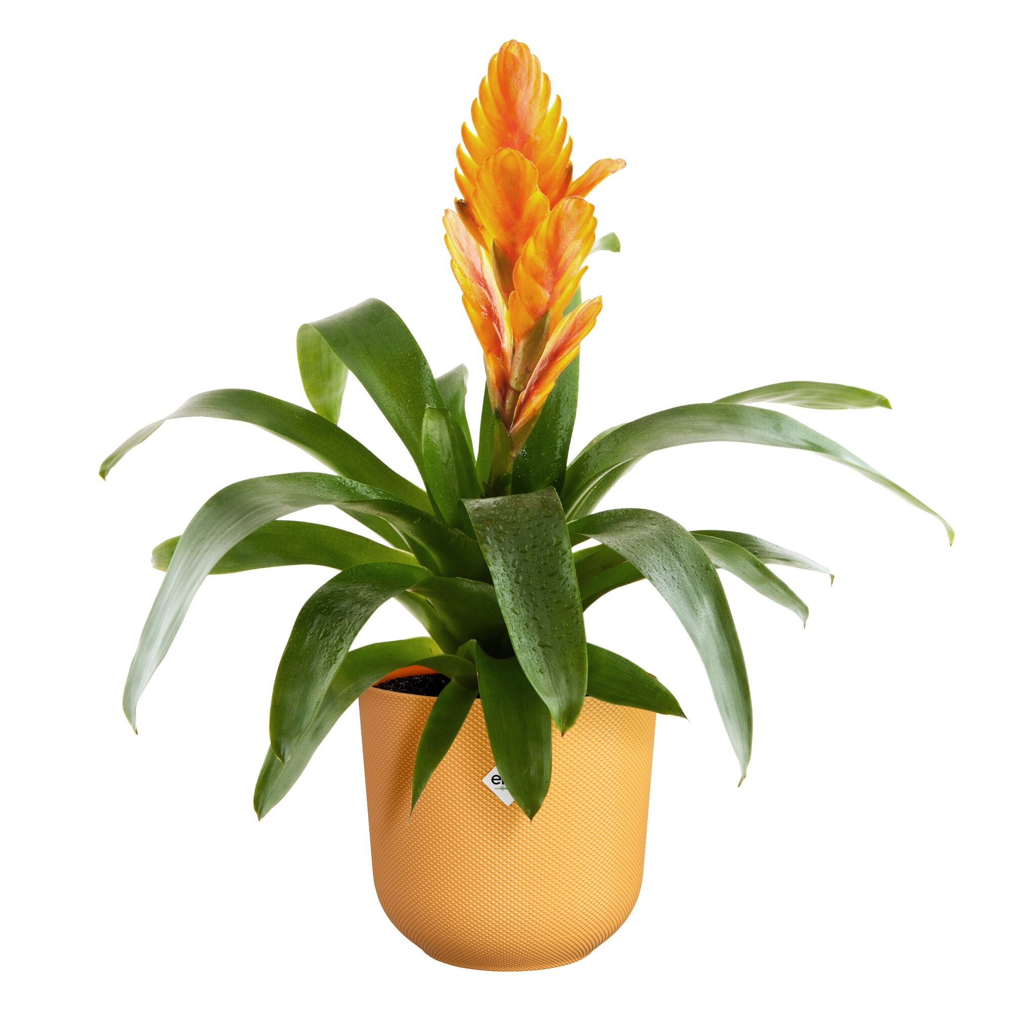Bakker Cache-pot Jazz jaune ELHO plastique Ø14cm relief
