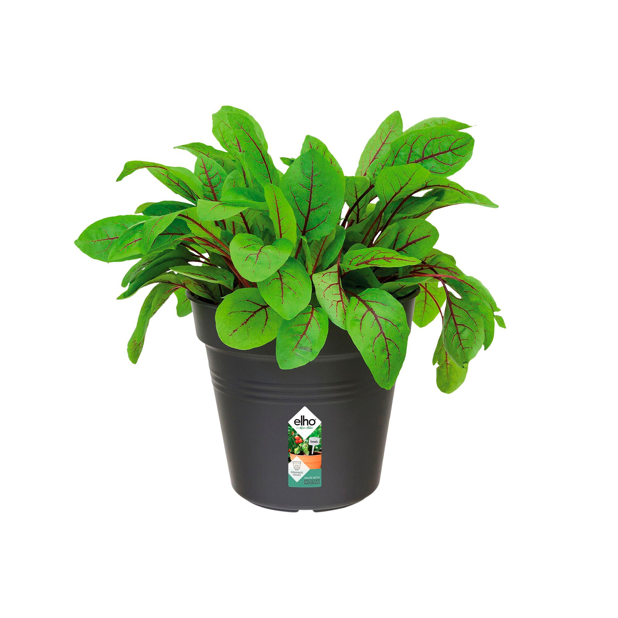 Bakker Pot Green Basics Living noir plastique Ø27cm