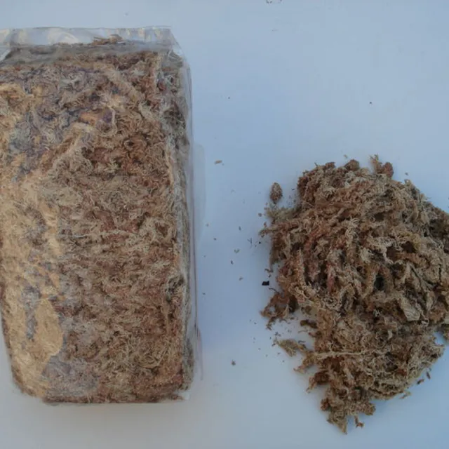 Carniflore Sphaigne déshydratée Chili substrat 200 g premium
