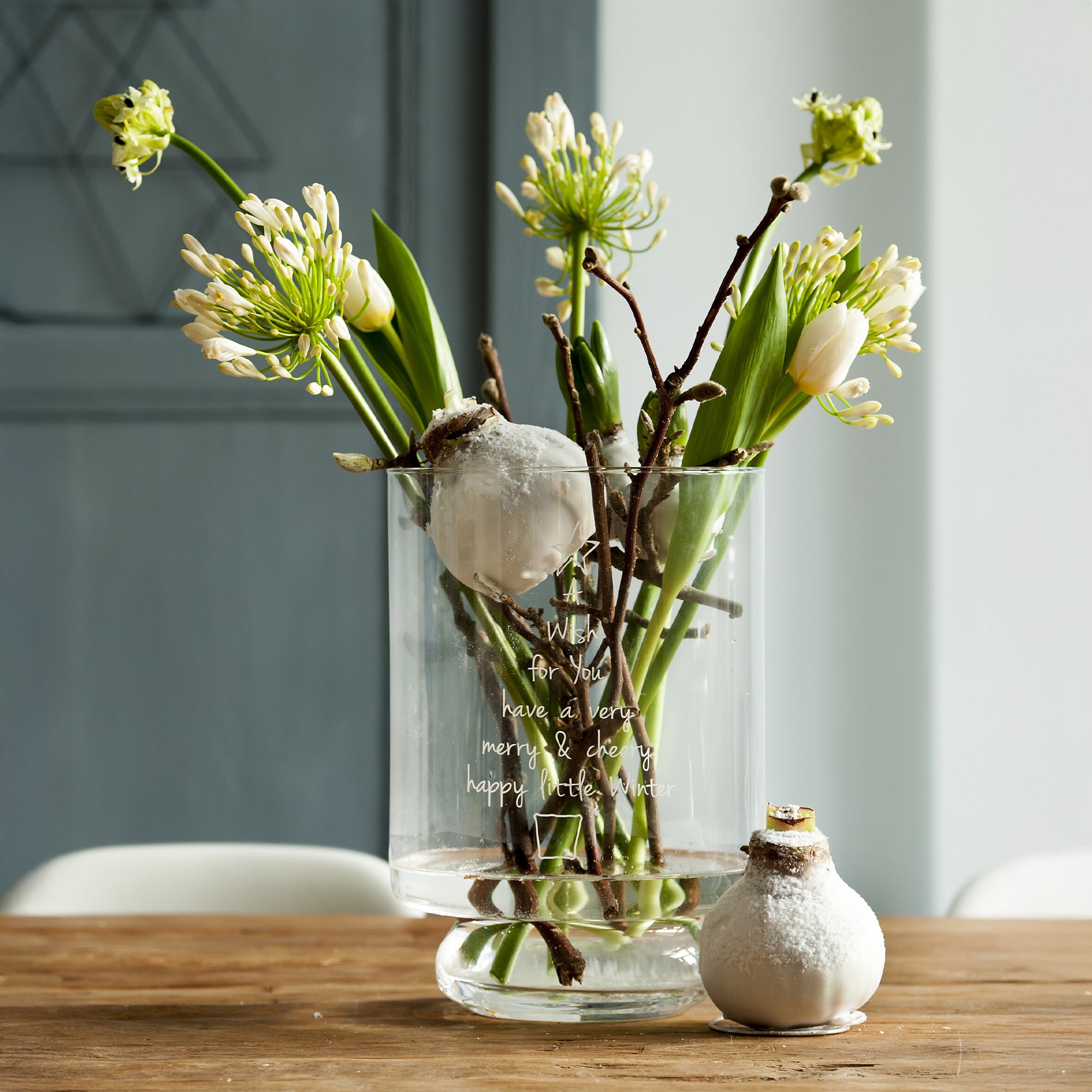 Bakker Amaryllis Magic White wax bulbe blanc pièce sans eau