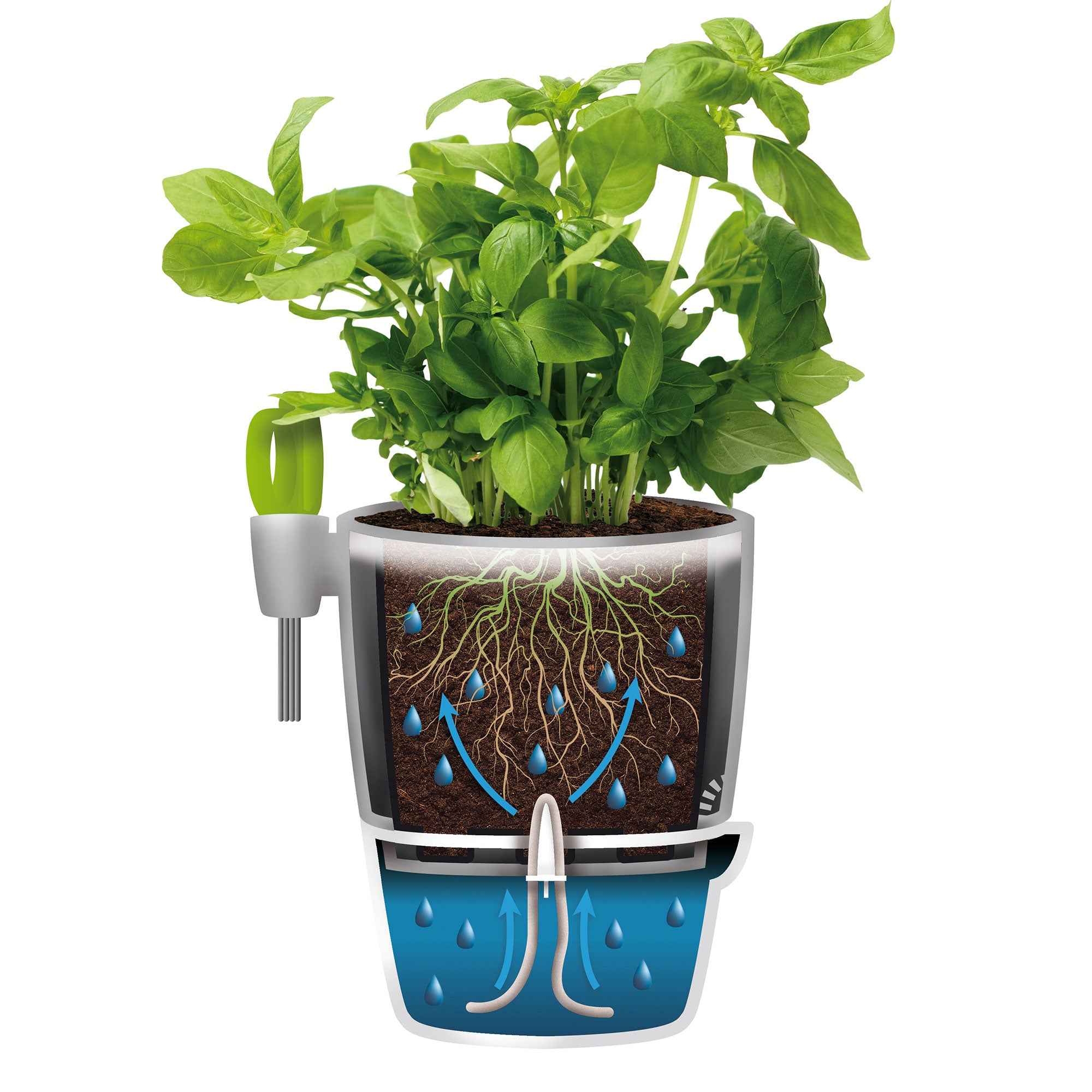 Elho Brussels Herbes All-in-1 cache-pot 13cm 1,2L anthracite