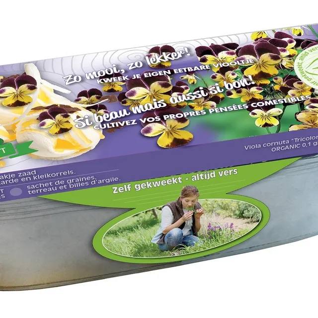 Bakker Pensées violettes Viola graines bio kit jardinière zinc