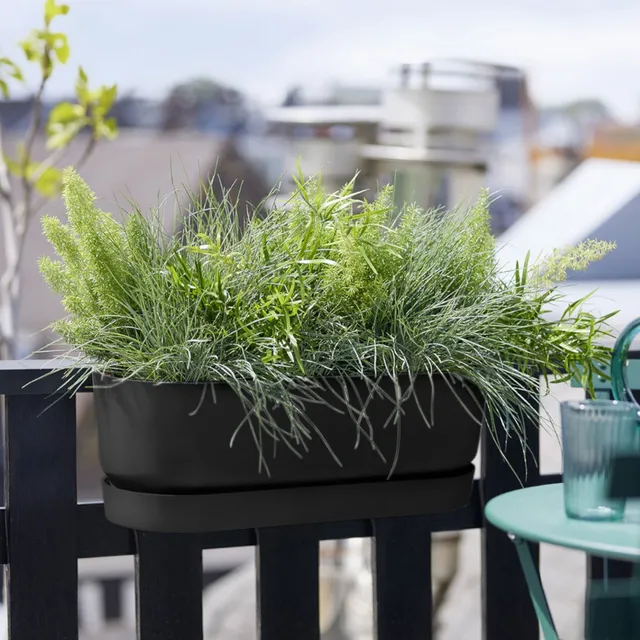 Elho Greenville Living balconnière noir 52 cm