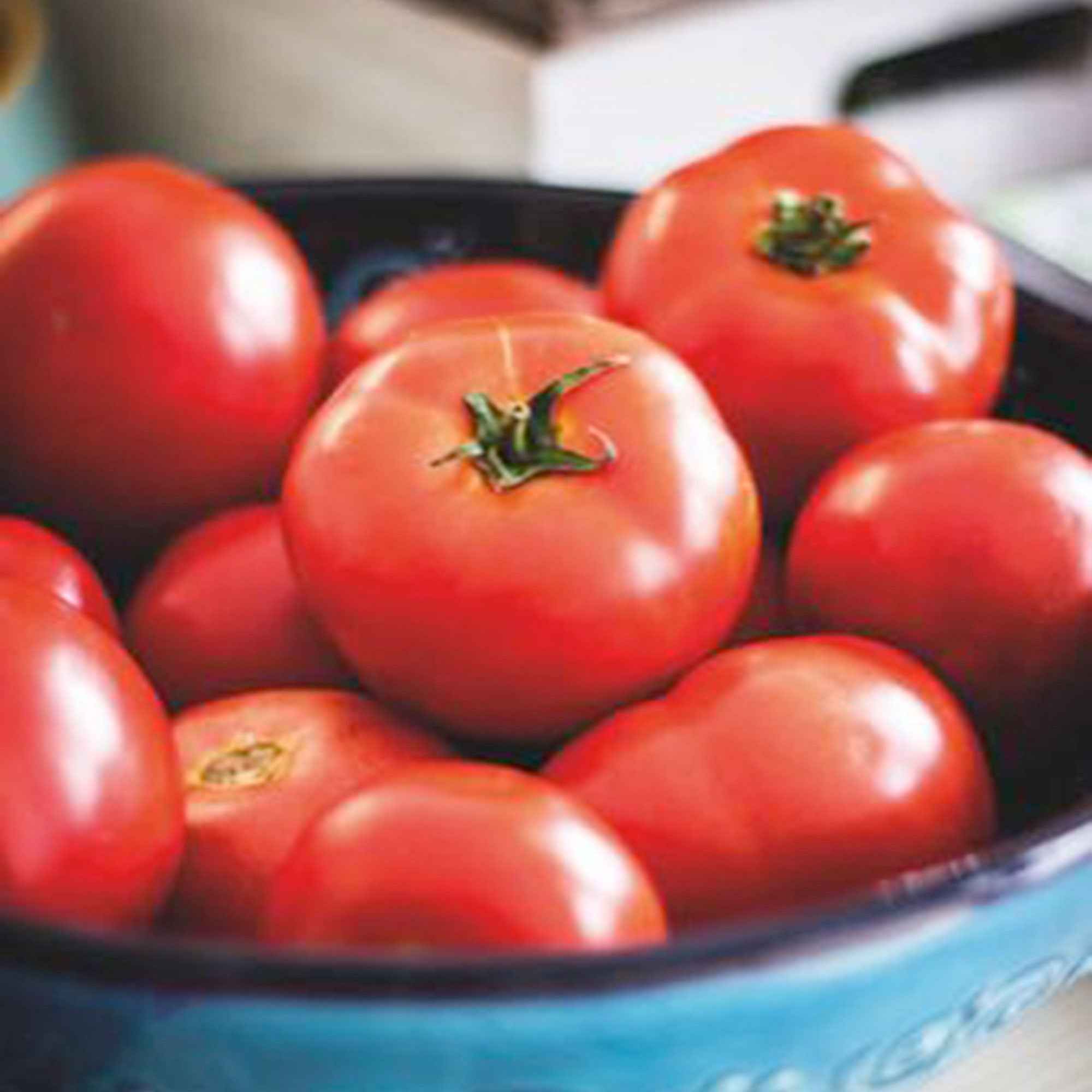 Bakker Moneymaker tomate graine sachet 0,2g récolte juillet-octobre