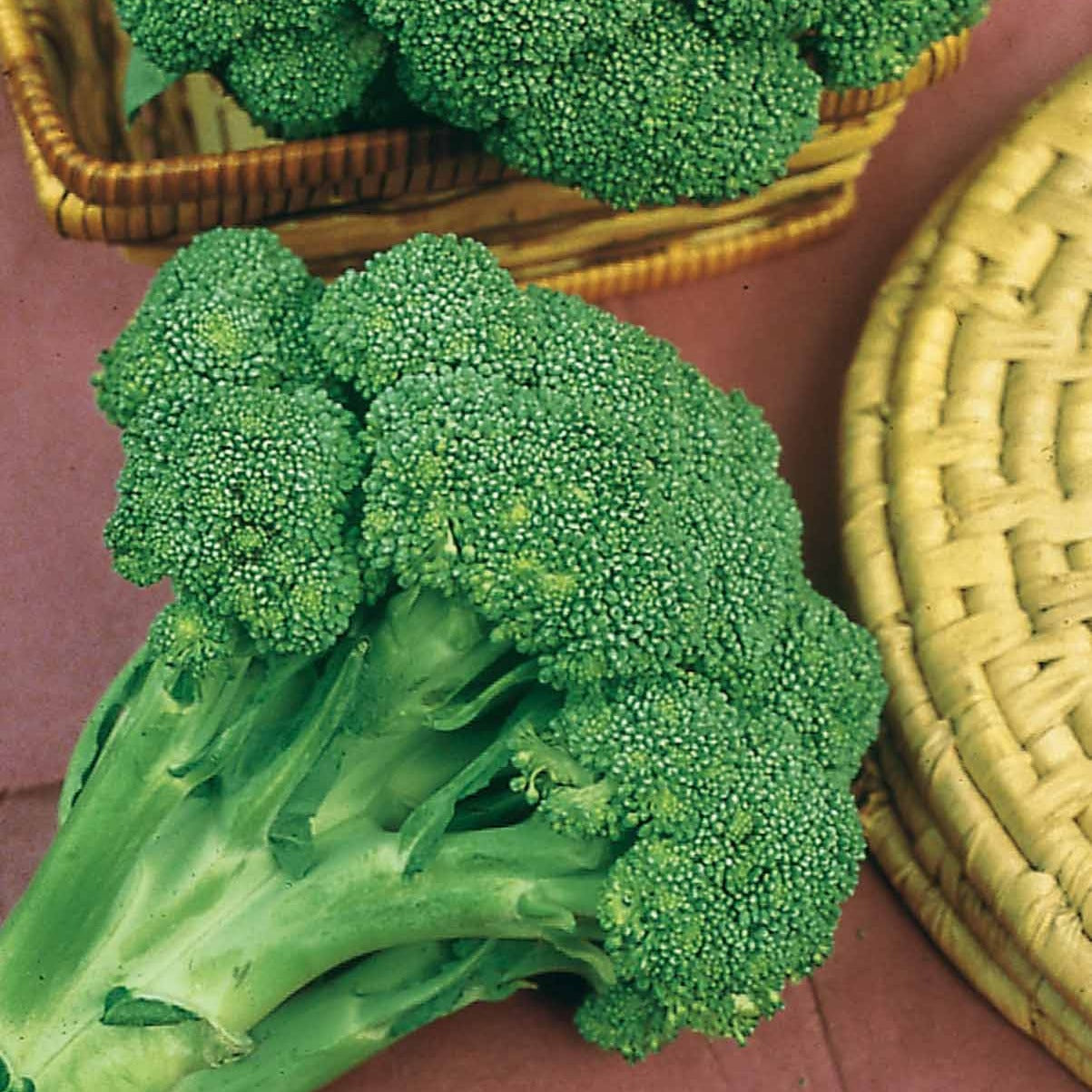 Bakker Chou Brocoli Calabrese Natalino graines 1g