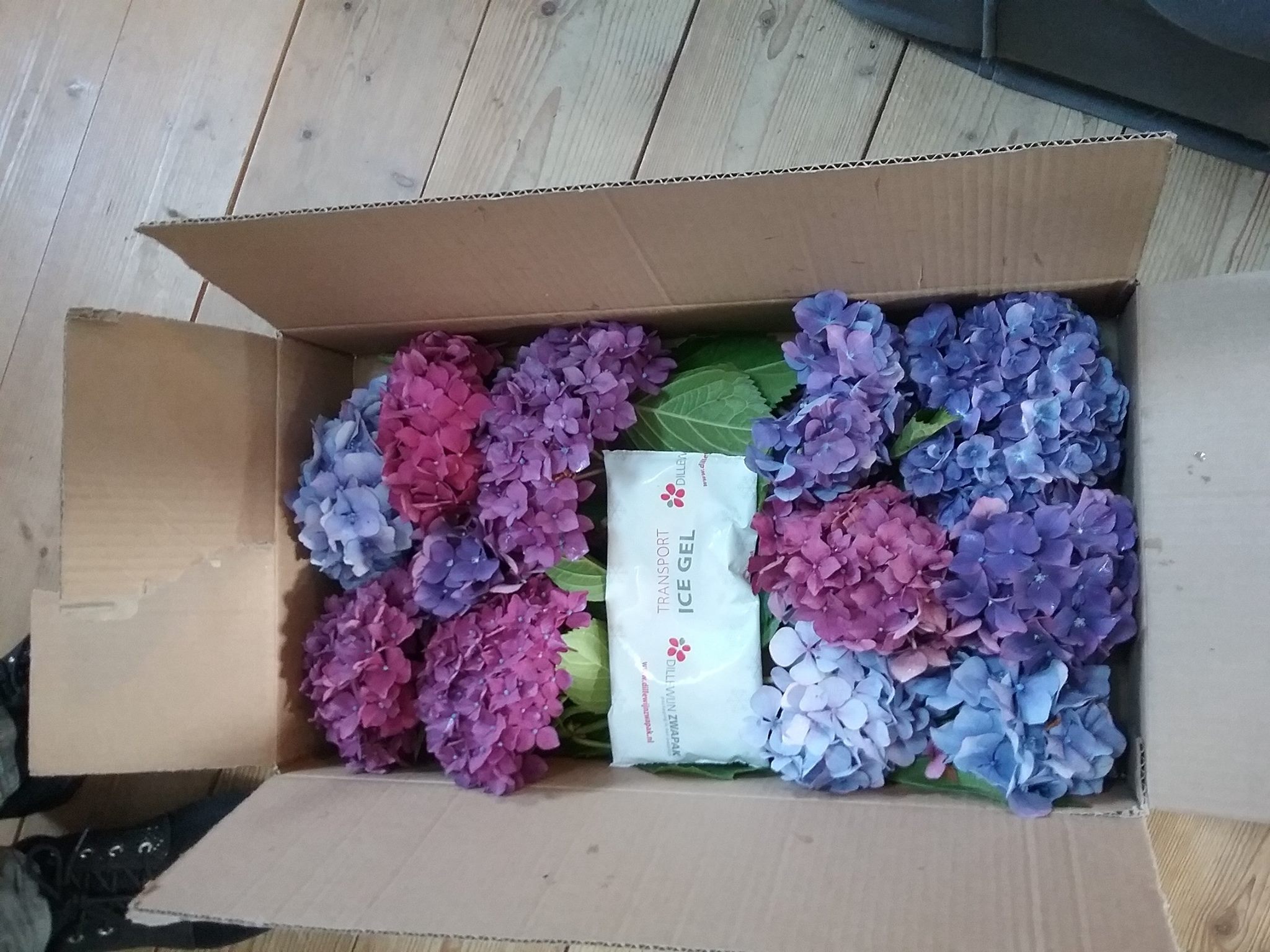 Les Hortensias du Haut Bois fleur d'hortensia séché déco