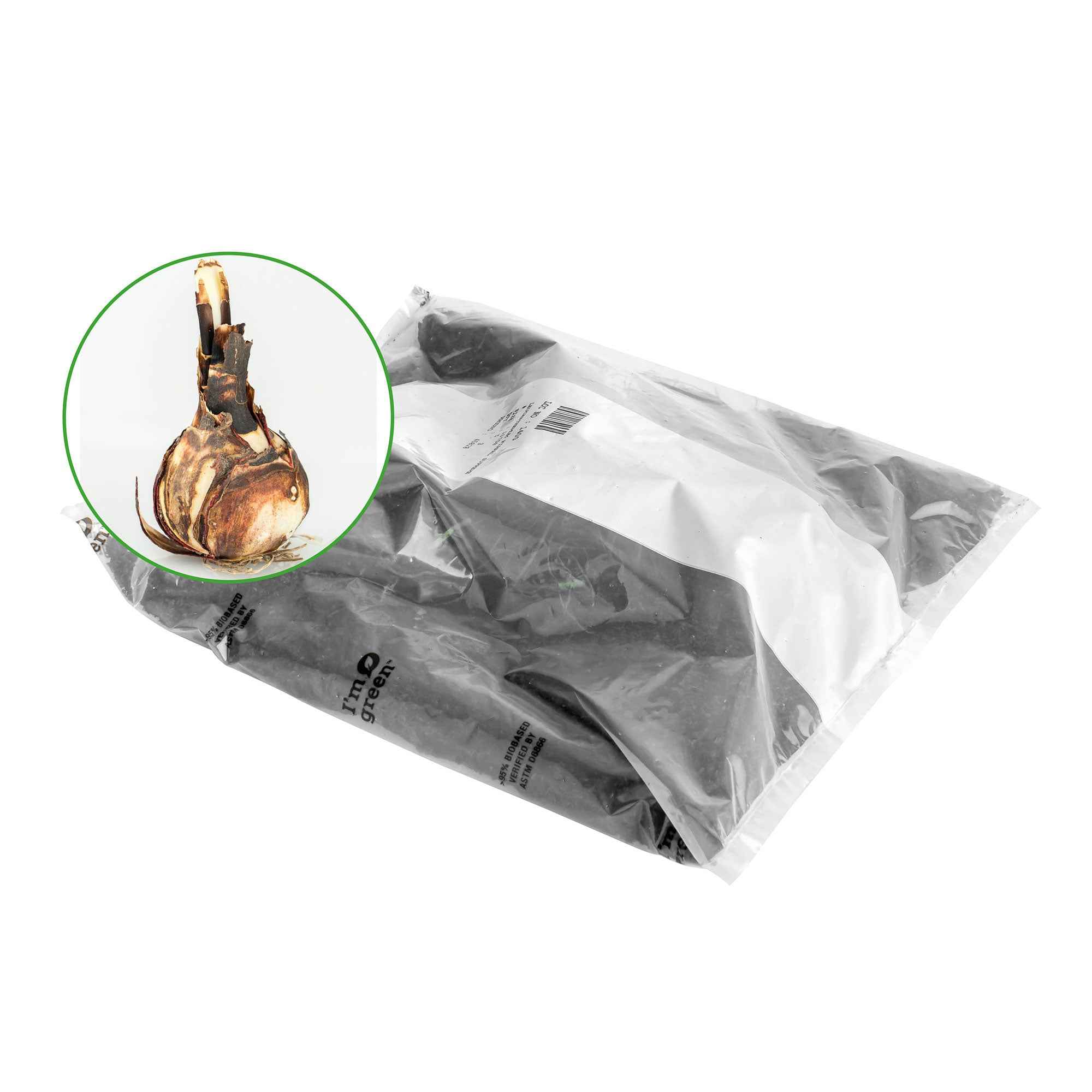 Bakker Lis de St Jacques bulbe rouge sachet de 2 bulbes