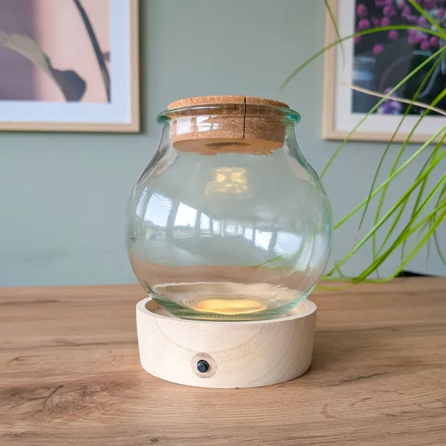 Bakker Vase support bois lumineux LED hydroponie Ø 15 cm
