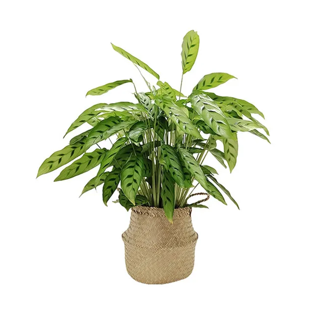 Bakker Belly Basket cache-pot panier osier la pièce