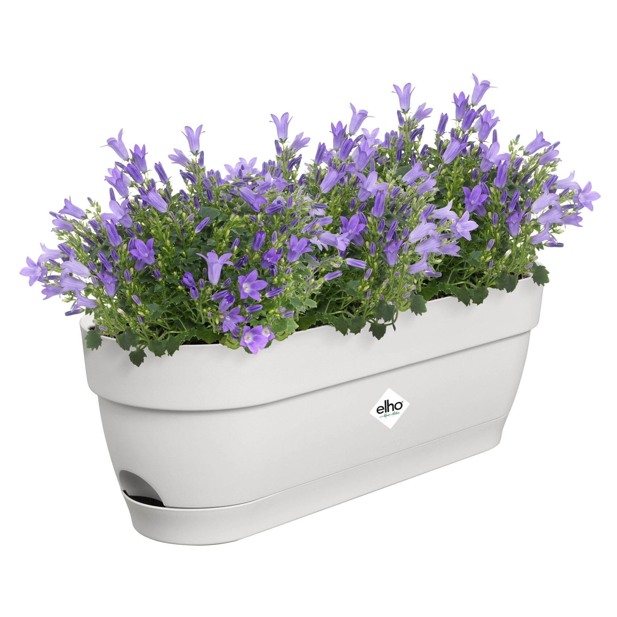 Elho Vibia Campana jardinière blanc mat rectangle