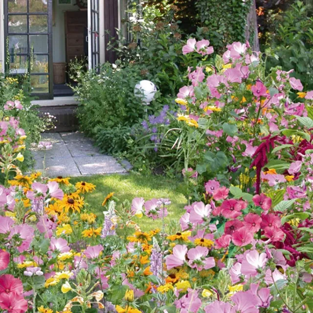 Bakker Graines fleurs Cottage Garden sachet 3g 5m²