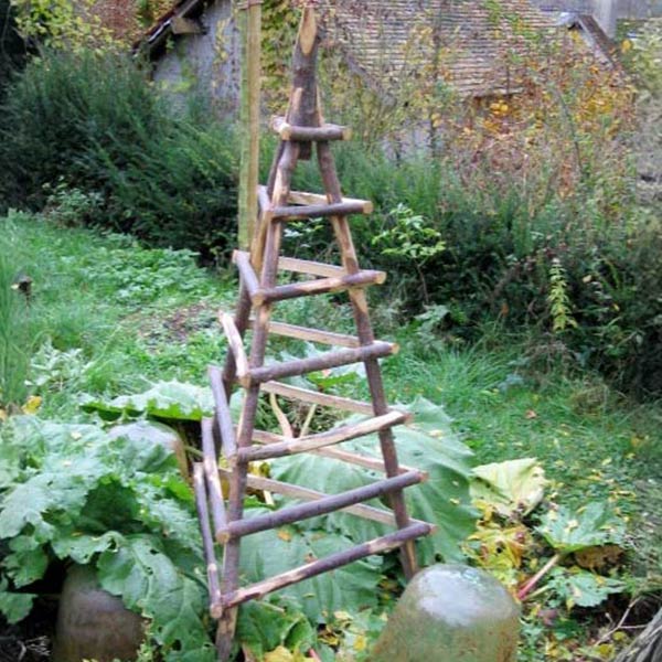 Ets Leneindre Décorations Pyramide châtaignier plante grimpante