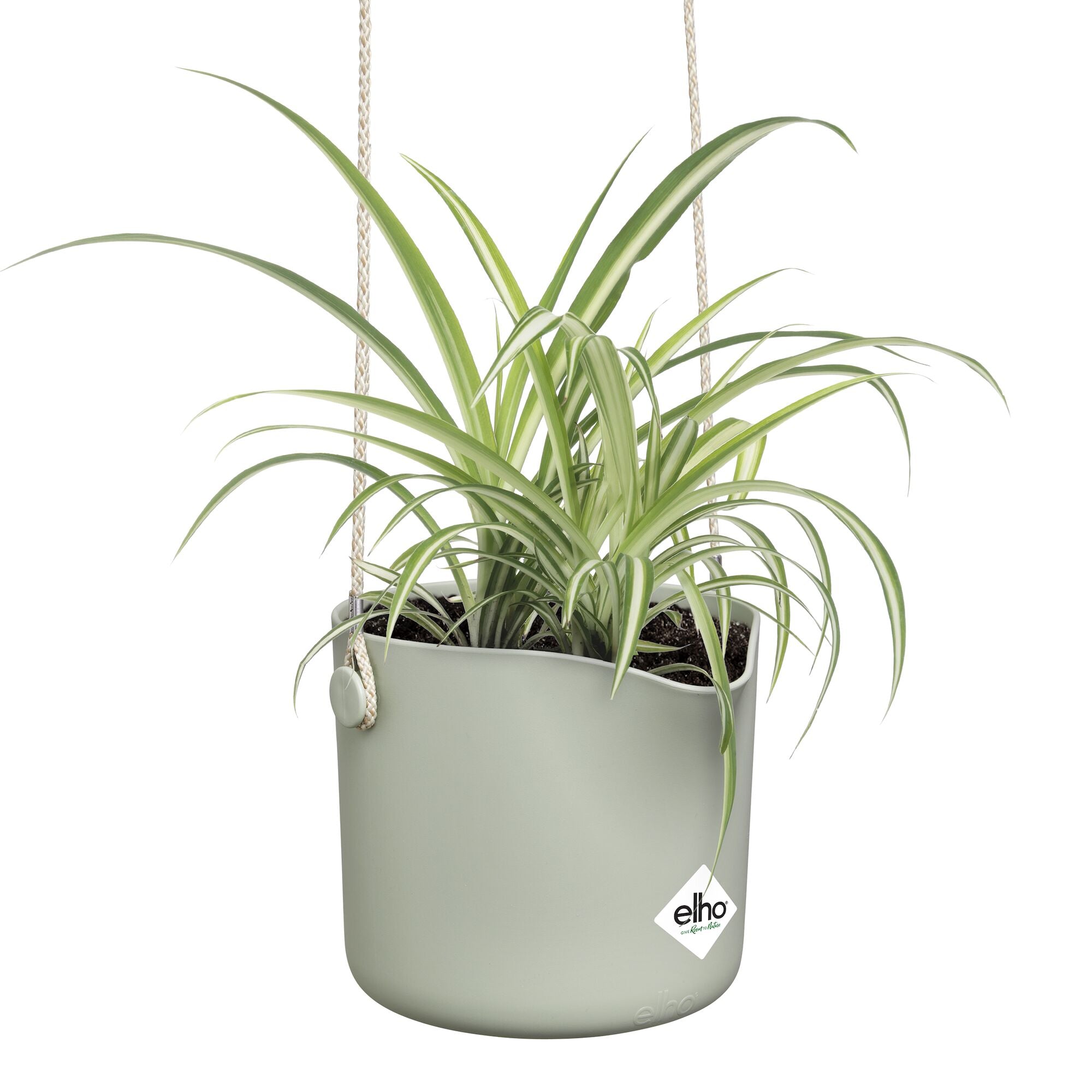 Bakker Suspension B for swing pot suspendu 18 cm vert