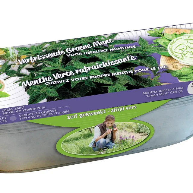 Bakker Menthe crépue graines + jardinière zinc