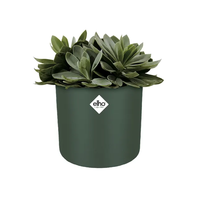 Elho B.for Soft cache-pot rond vert Ø 18cm plastique mat