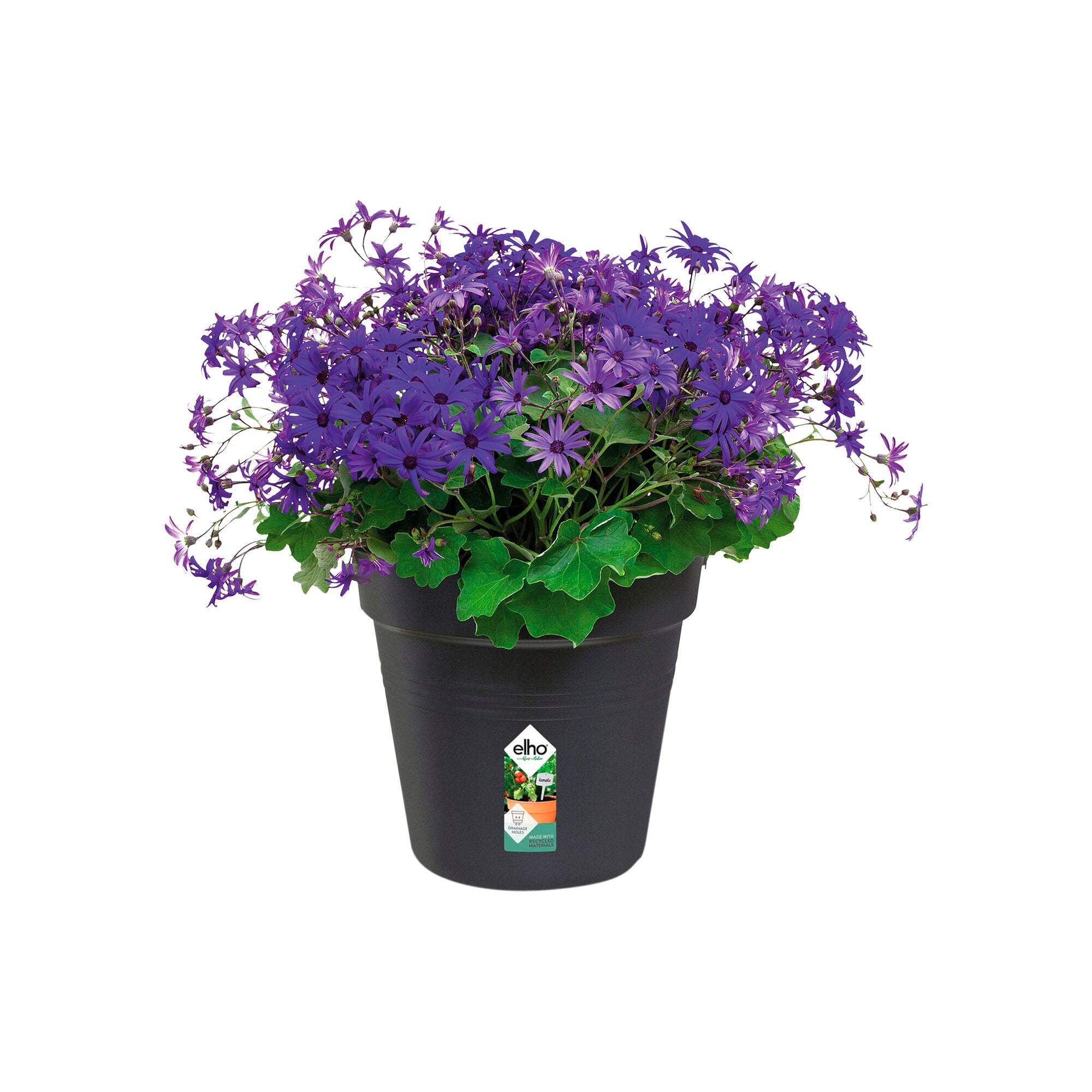 Bakker Pot Green Basics Living noir plastique Ø27cm