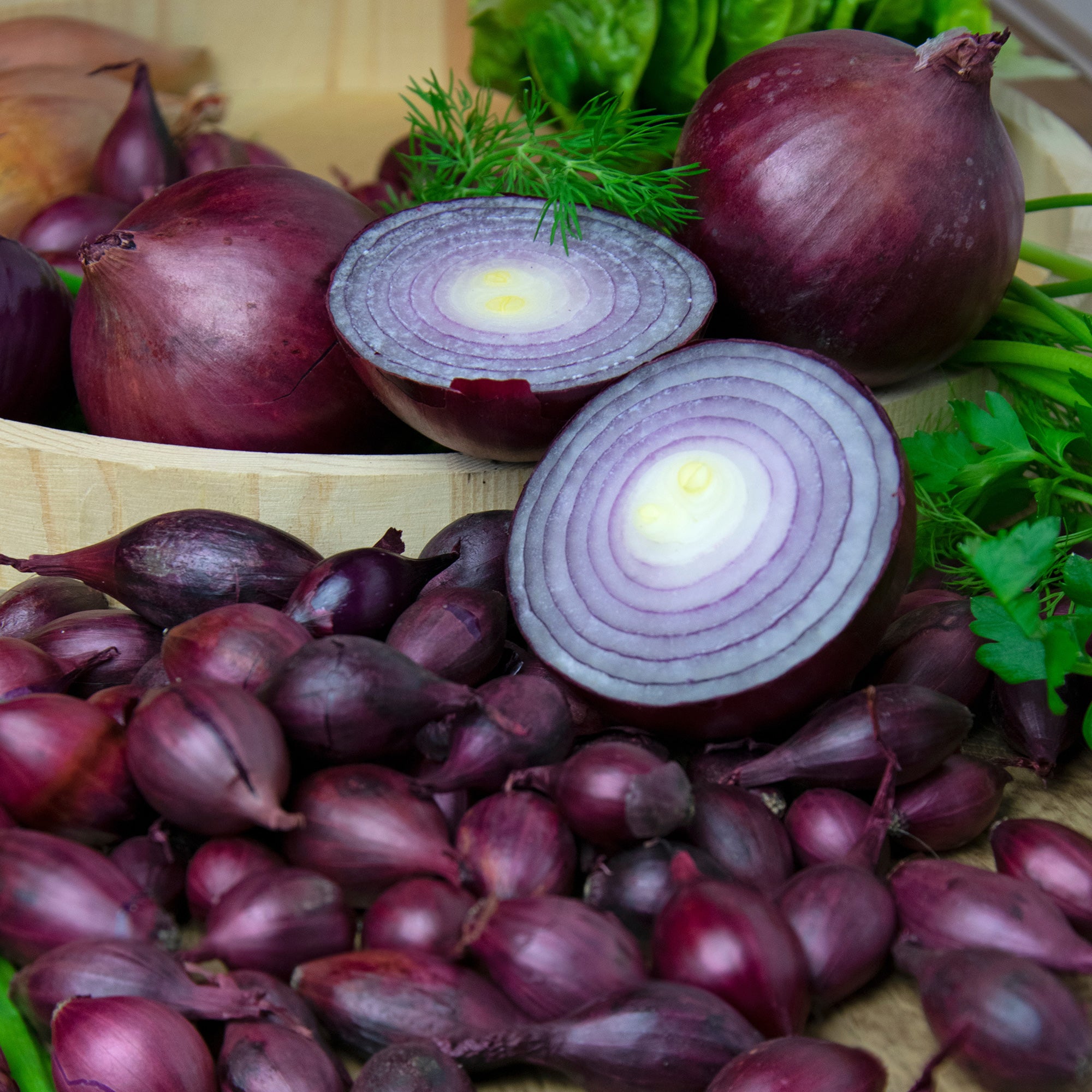 Bakker Potager et Graines Oignon Red Baron bulbe 500g conservation