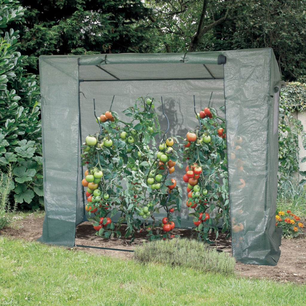 Bakker Serre pour tomates 169x70x200 cm la pièce