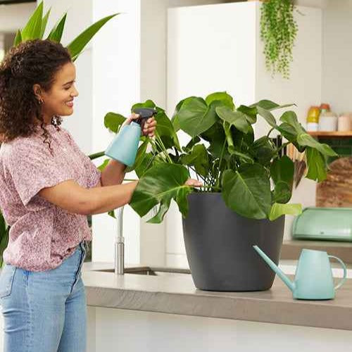 Elho Brussels Arrosoir Intérieur 1.8L Menthe Plastique Léger