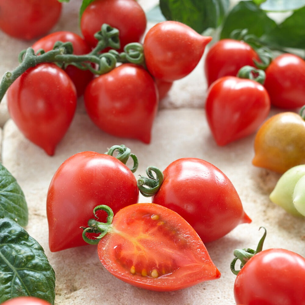 Bakker Coeur d'amour tomate cerise sachet 15 graines