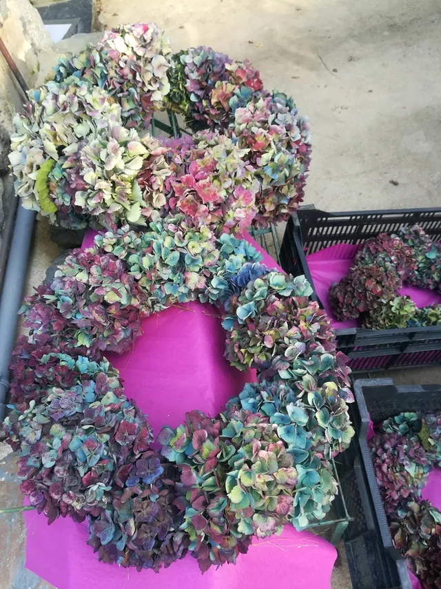 Les Hortensias du Haut Bois couronne hortensias semi-séchée