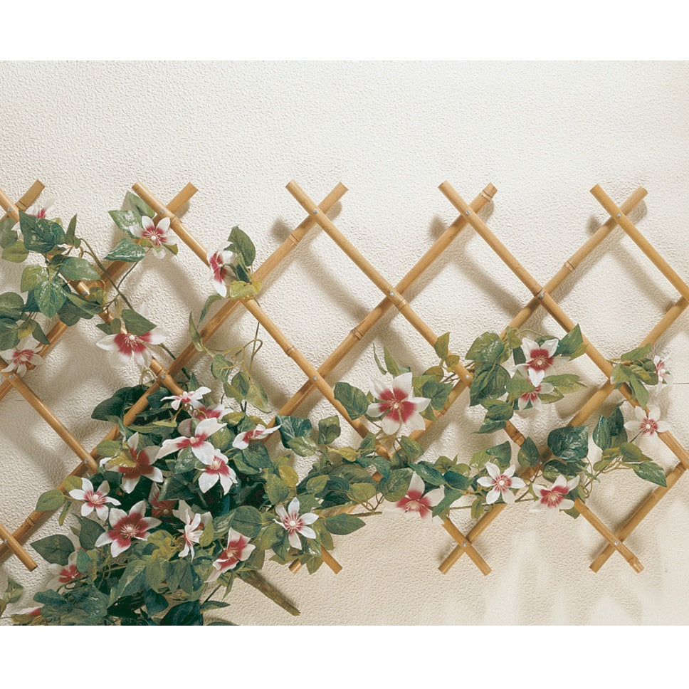 Bakker Treillis extensible bambou 200x100cm naturel