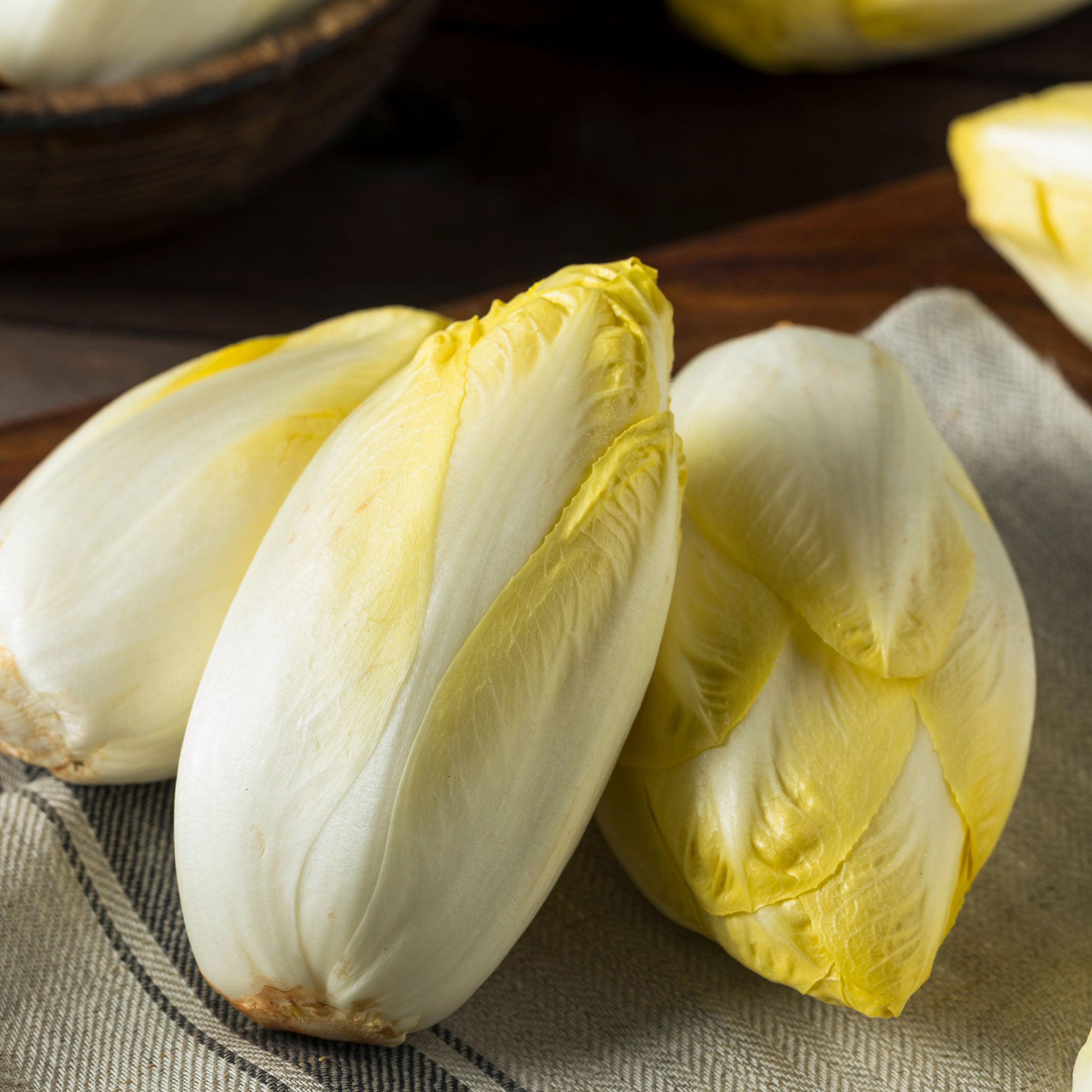 Bakker Chicorée Mechelse Middelvroeg Bio graines endive 0,5g