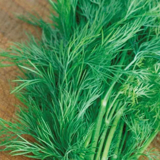 Bakker Aneth Bouquet Bio graines sachet 0,6g soleil