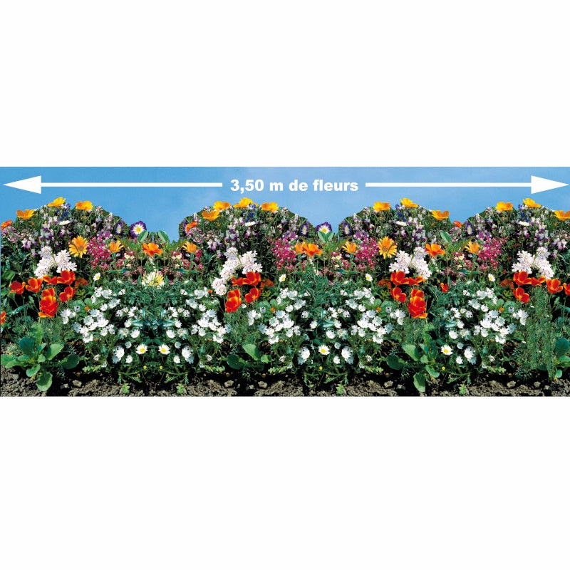 Bakker Tapis de graines bordures fleuries 350x21cm mélange