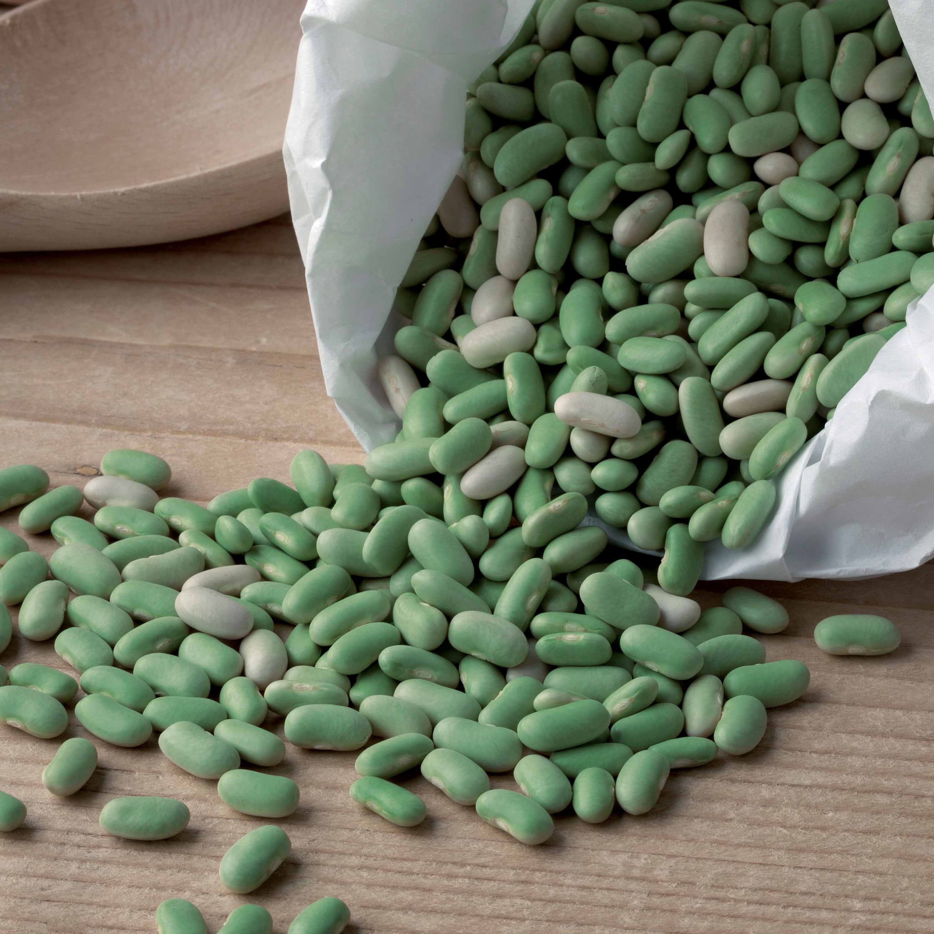 Bakker Haricot Flagrano flageolet 200g ±140 graines